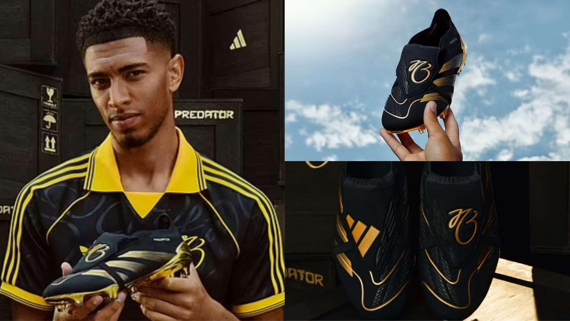 能來自於頻 能來自於頻