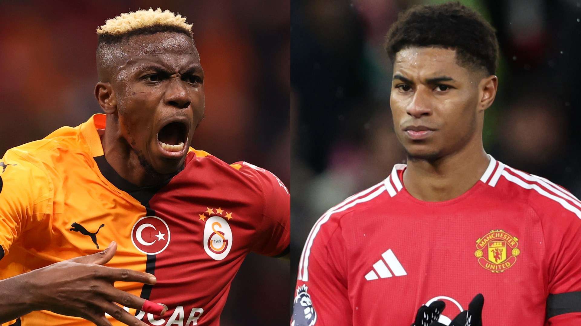 终会迎来属 终会迎来属